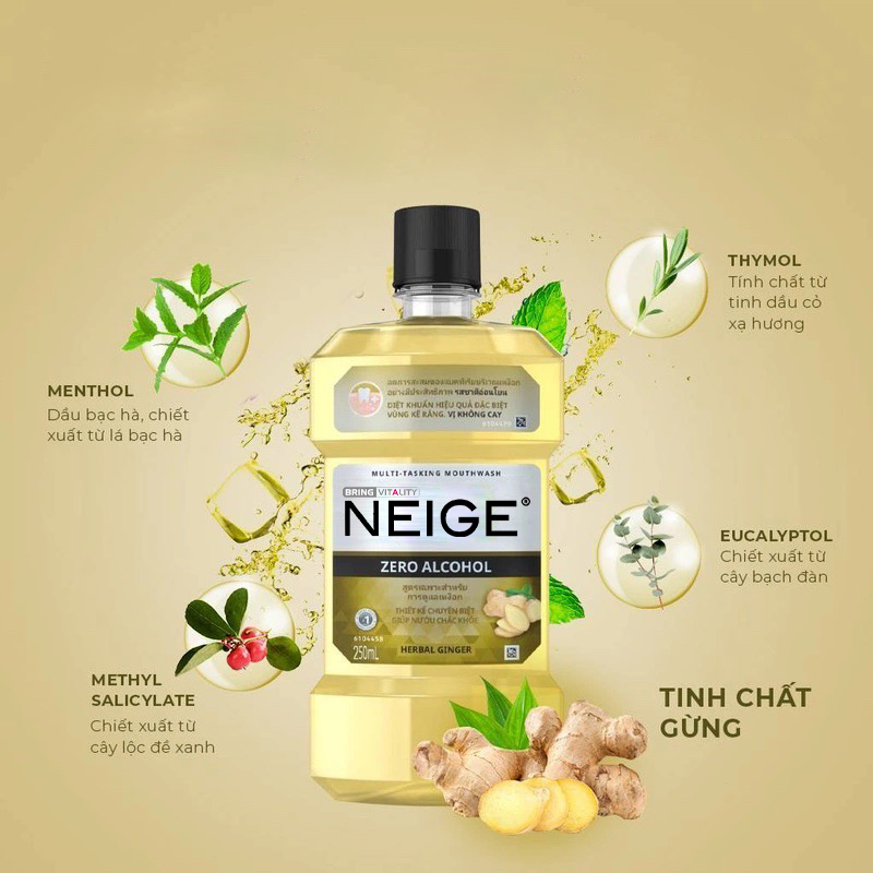 Nước súc miệng Neige Gum Care Zero Alcohol Mouthwash Vị Gừng Thảo Mộc 750ml